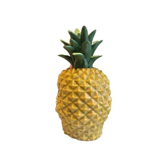 2021 Hyde and Eek Halloween Light Up Pineapple + Strawberry  New Tiki Hawaiian Yellow Pineapple Skull Halloween Spooky Light Up Table Light